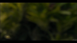 Dear Killer Nannies Criado por sicarios - Season 01 Episode 02